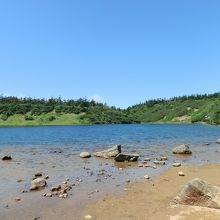 2015年、ガマ沼の光景です。沼面が浅く、澄んでいました。