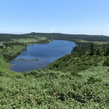 2015年の八幡沼です。八幡平最大の沼です。
