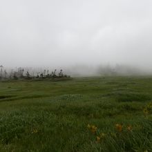 霧の中に浮かび来る八幡平。