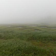 霧の中に浮かび来る、池塘。