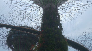 昼も夜も楽しめます