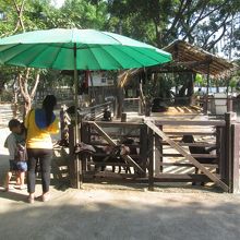 ドゥシット動物園