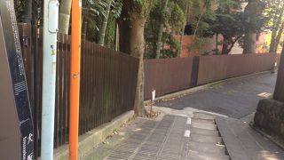 猫がたくさんいました