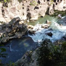 近くで見る事ができます。