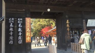 大きな池と美しい紅葉