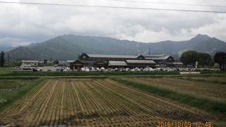 地元の方も利用