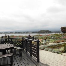 曇っていて富士山は見えませんでした