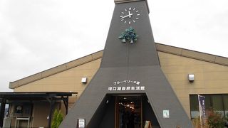 花と湖と富士山が楽しめるスポット