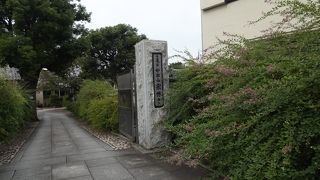 萩がまだ見られました。