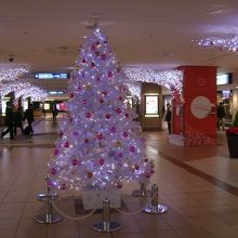 メイン通路にはクリスマスツリーも飾られていました