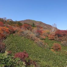 紅葉している那須の山。