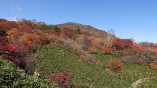 効率良く回るには車が必要