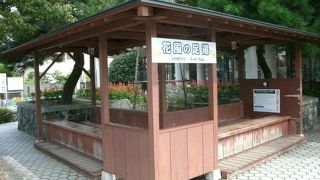 タオルを借りることもできます