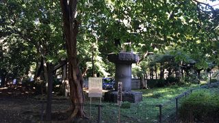 静まりかえった場所にあります