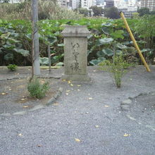 上野公園不忍池弁天島のいと塚です。池のハスの葉が繁っています