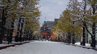 雪の道庁旧本館