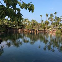 フィッシュポンド