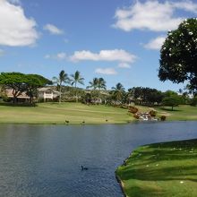 コース内には大きな池もあって、越して打つにのはかなり難しい。