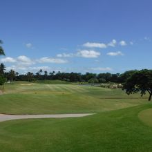 どこまでも飛んでいきそう～。(^^)　気持ちいい＼(^0^)