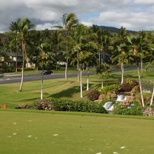 テレビの中継でも見かける風景。道路にはネットが無いので危ない