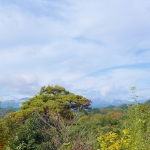 展望台からの眺め