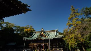 三島に来たらやっぱり寄りますね