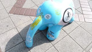 象の鼻に似ている