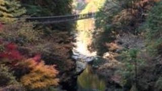 紅葉のみたらい渓谷