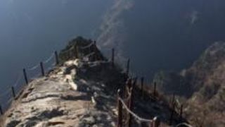 紅葉はもう終わっていました