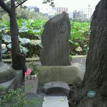 上野公園不忍池の弁天島の扇塚は、樹と樹の間に置かれています。