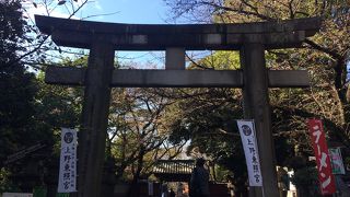 左右には上野東照宮の幟が立っています