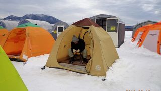 ワカサギ釣り最高