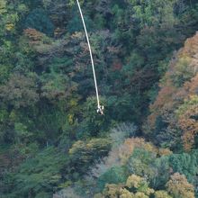 バンジージャンプ