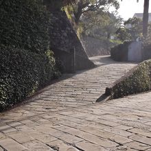 左に進むと活水女子大