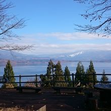 木の間から眺められます