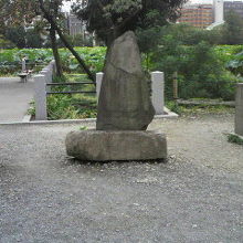 弁天堂の傍の高久藹崖の筆塚と言われている石碑周辺の全景です。