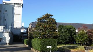 日本酒作りの行程を展示中。