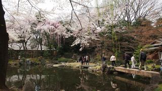 池があって綺麗でした