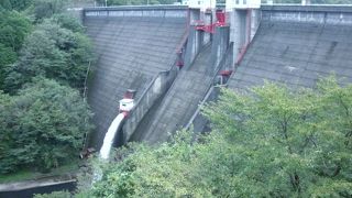 豪快な放流シーンを見ることができました