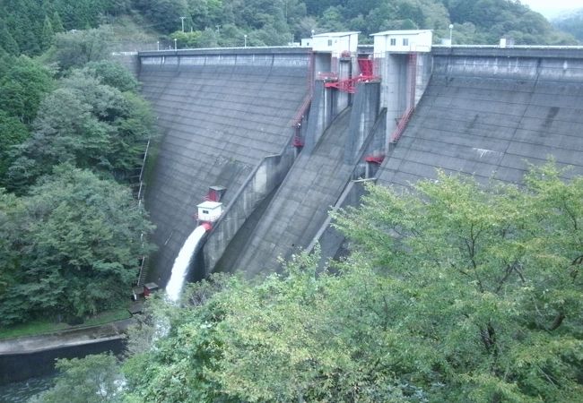 豪快な放流シーンを見ることができました