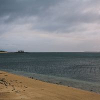 ちゃんやーを出てすぐのビーチは泳げます。左には美ら海水族館が