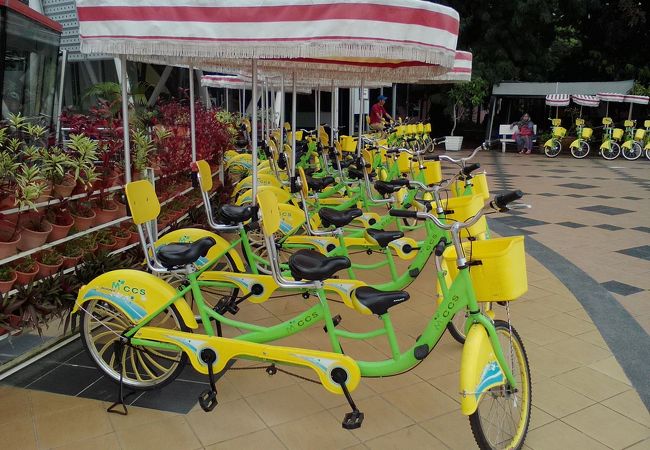 レンタル自転車いろいろ