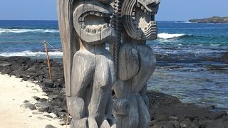 海ガメがいました