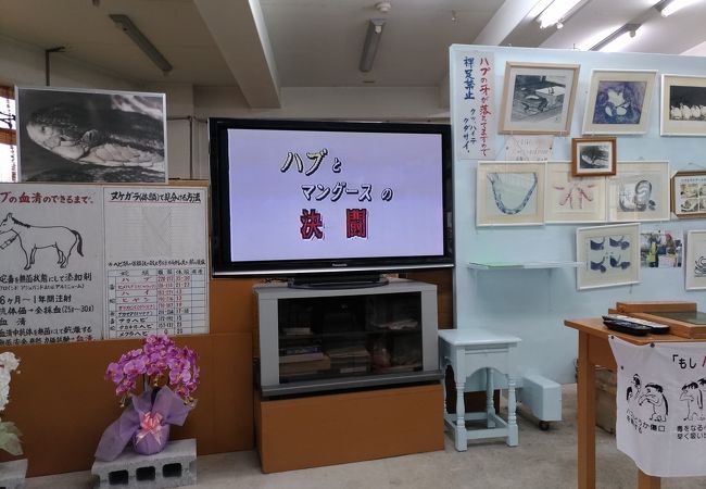 奄美観光ハブセンター クチコミ アクセス 営業時間 奄美大島 フォートラベル