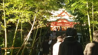 熱海の人気のある来宮神社