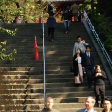 不忍池から見上げる