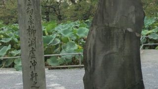 徳川一橋家剣術指南役の櫛淵碑は、上野公園不忍池の弁天堂の奥に建てられています。