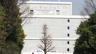 大人になってからも案外楽しい