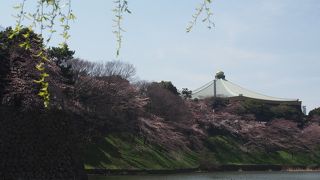 言わずと知れた音楽の殿堂