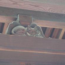 猫、番をしている様には見えませんね